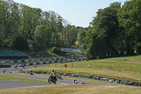 cadwell-park;cadwell-park-photographs;cadwell-trackday-photographs;enduro-digital-images;event-digital-images;eventdigitalimages;peter-wileman-photography;racing-digital-images;trackday-digital-images;trackday-photos